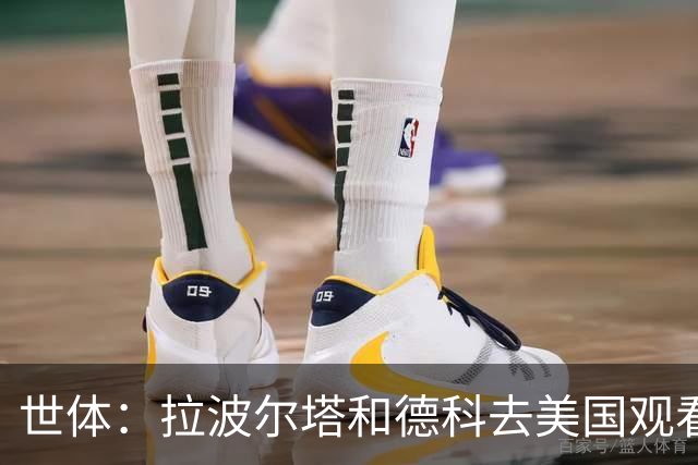 世体：拉波尔塔和德科去美国观看世界杯决赛，阿德耶米官宣将推迟