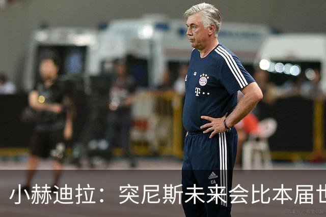 小赫迪拉：突尼斯未来会比本届世界杯更好 批评？我已经付出全力